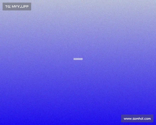 旅游卫视节目表