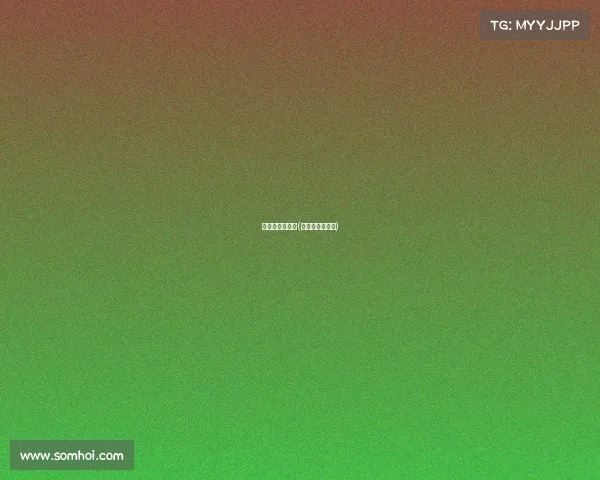 羽毛球赛事分析(羽毛球比赛解析)