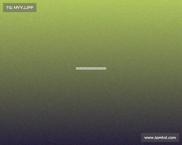 赛事商业合作共赢新篇章启共创品牌价值巅峰