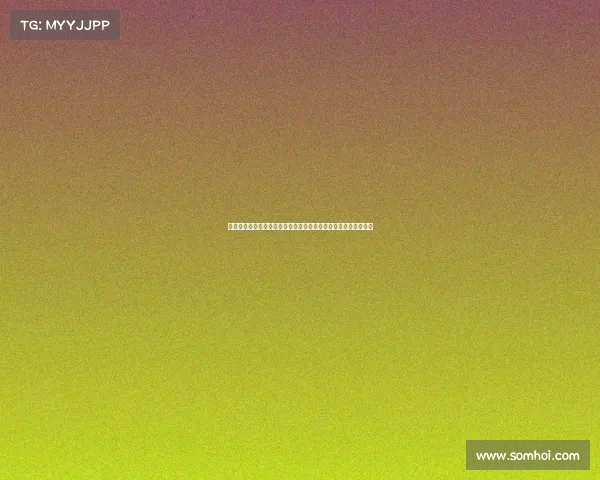 林志颖与他的赛车队共同征战多场国际赛事的心路历程与辉煌战绩 林志颖与他的赛车队共同征战多场国际赛事的心路历程与辉煌战绩