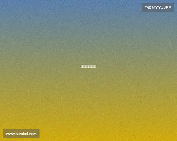 拳击各大赛事预告视频