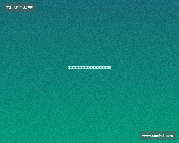 深度剖析中国德州扑克赛事巨额奖金分配机制及其行业影响力演变